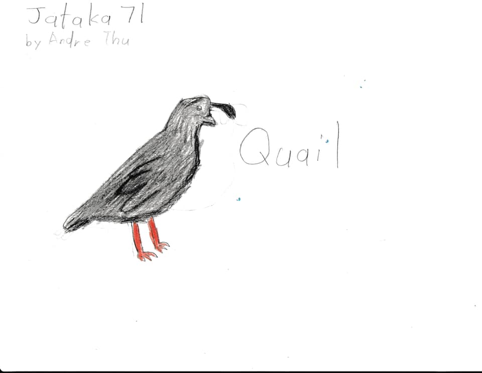 May be a doodle of text that says "Jataka 71 by Andre Thu Quail"